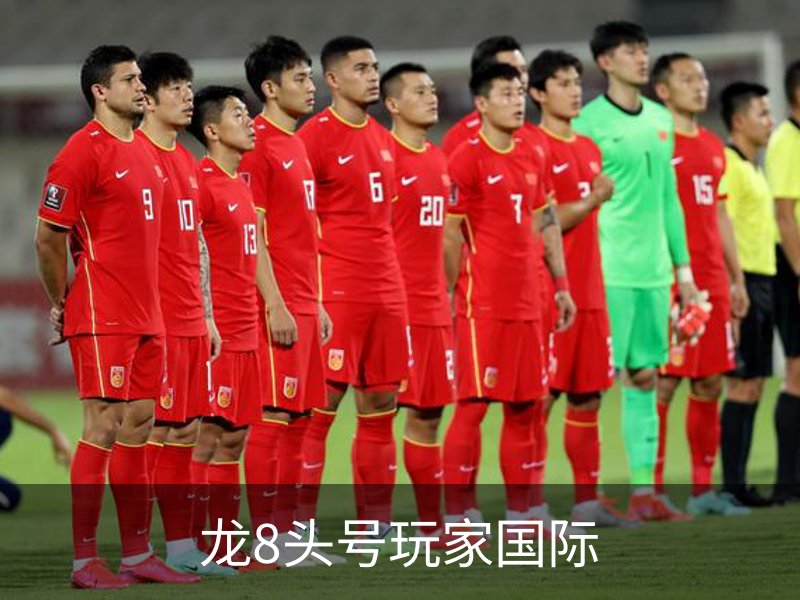 龙8头号玩家国际介绍